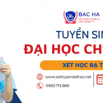 Tuyển sinh khối ngành Quản trị Kinh doanh và Công nghệ Thông tin năm 2024